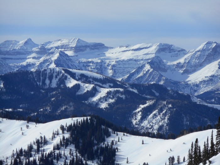 the view from the top