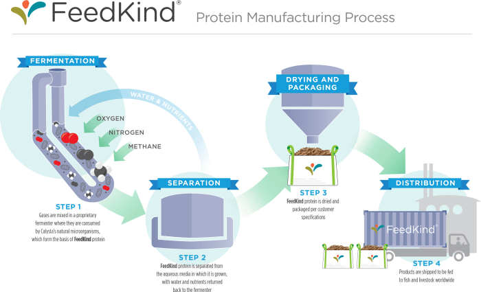 CalystaProteinManufacturingProcess