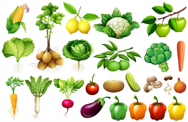 various-kind-vegetables